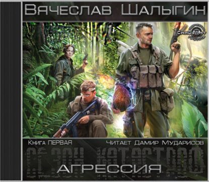 Агрессия Шалыгин Вячеслав