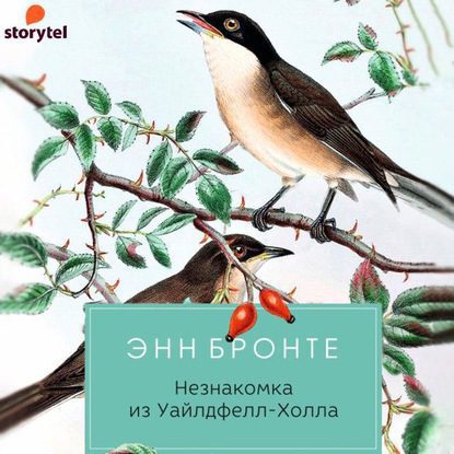 Бронте Энн — Незнакомка из Уайлдфелл-Холла