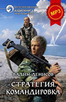 Денисов Вадим — Командировка Денисов Вадим