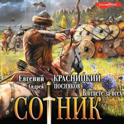 Красницкий Евгений, Посняков Андрей — В ответе за всех