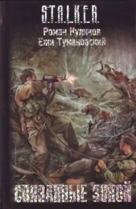 Куликов Роман, Тумановский Ежи — Связанные зоной