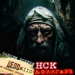 НСК дело № 110. Доллгауз — Долгов Максим