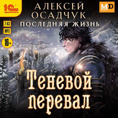 Осадчук Алексей — Последняя жизнь 8, Теневой перевал