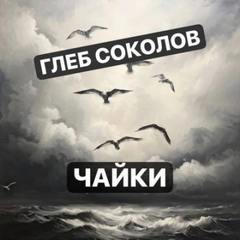 Чайки — Соколов Глеб