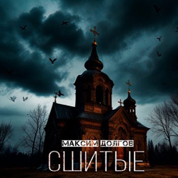 Сшитые — Долгов Максим