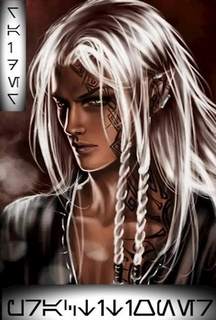 Практик (том 1) — Рейдер