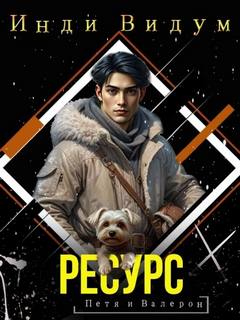 Петя и Валерон. Книга 5. Ресурс - Видум Инди