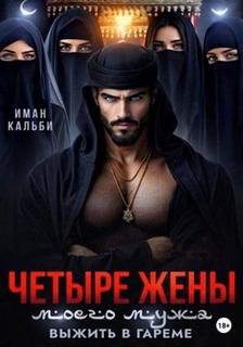 Четыре жены моего мужа. Выжить в гареме - Кальби Иман