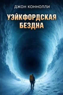 Уэйкфордская бездна - Коннолли Джон