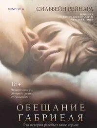 Обещание Габриеля - Рейнард Сильвейн