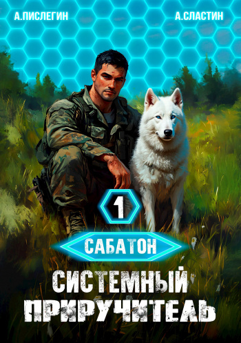 Системный приручитель 1 - Пислегин Алексей, Сластин Артем